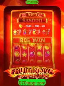Descubra a Emoção do Jogo FruitNovaSuper100